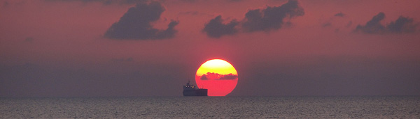 �����. �������� ��������.